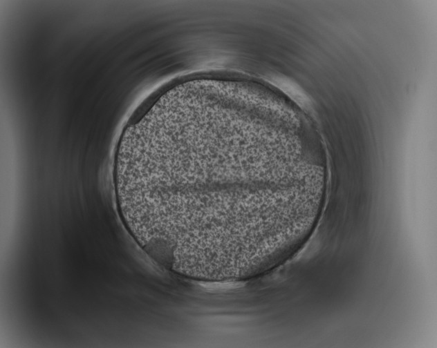 X0000094821200200712071239