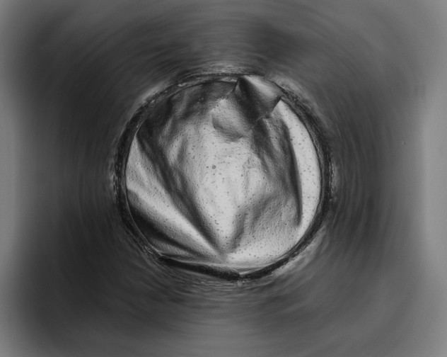 X0000094821210200712071239