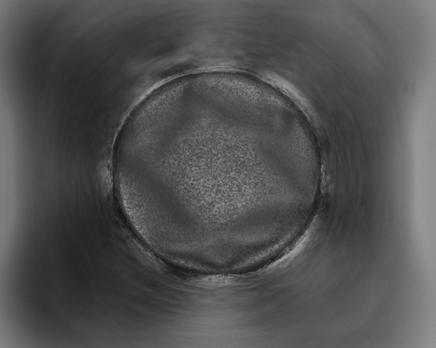 X0000094821212200712071239