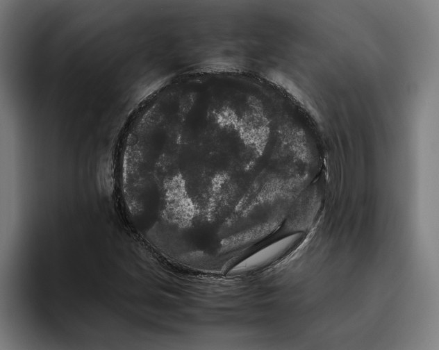 X0000094821213200712071239