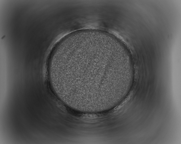 X0000094821215200712071239