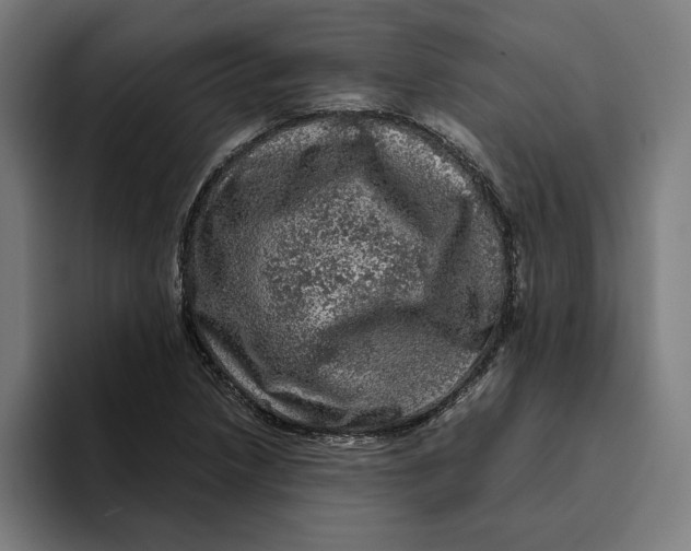 X0000094821218200712071239