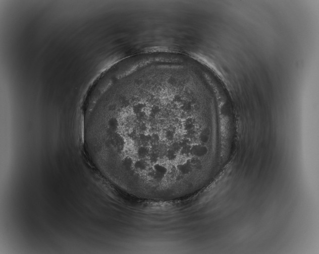 X0000094821219200712071239