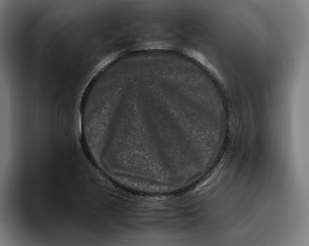 X0000094821221200712071239