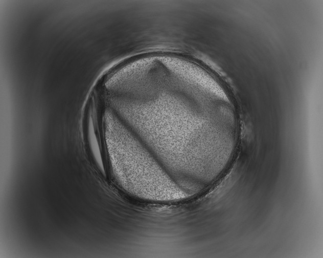 X0000094821222200712071239