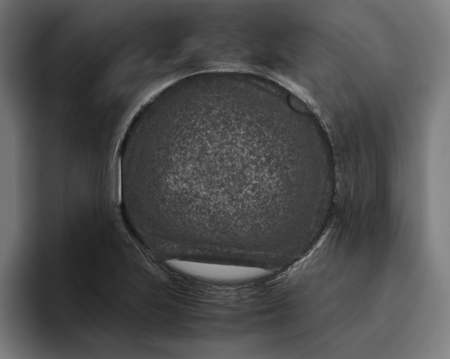 X0000094821223200712071239