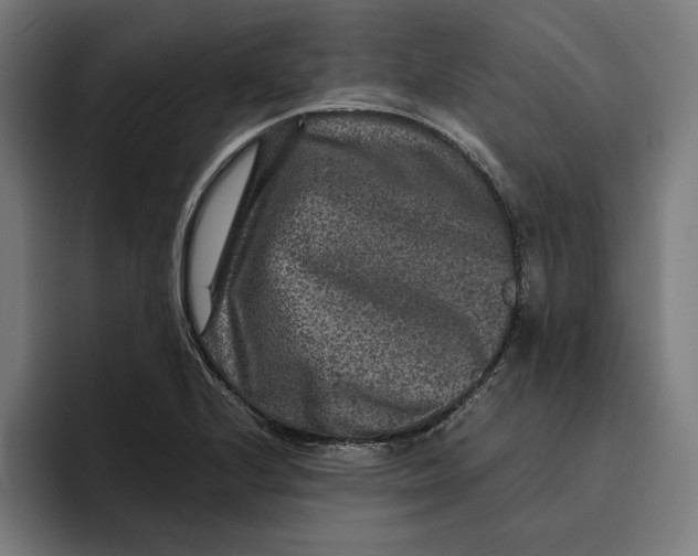 X0000094821224200712071239