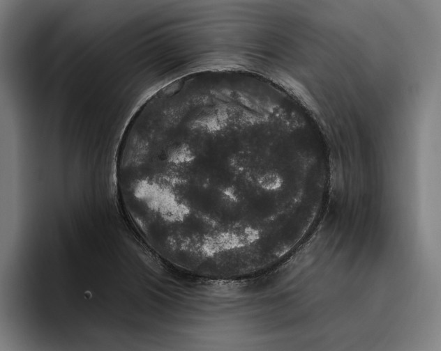 X0000094821226200712071239