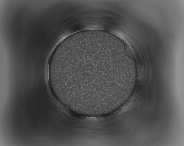 X0000094821227200712071239