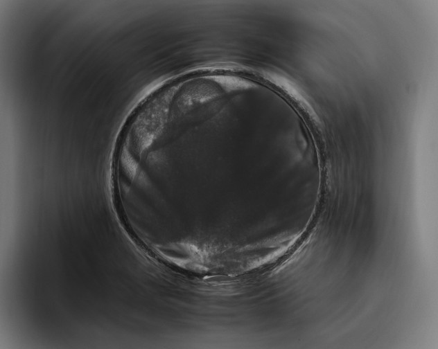 X0000094821229200712071239