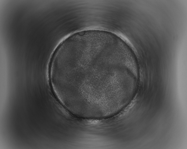 X0000094821230200712071239