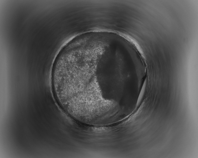 X0000094821231200712071239