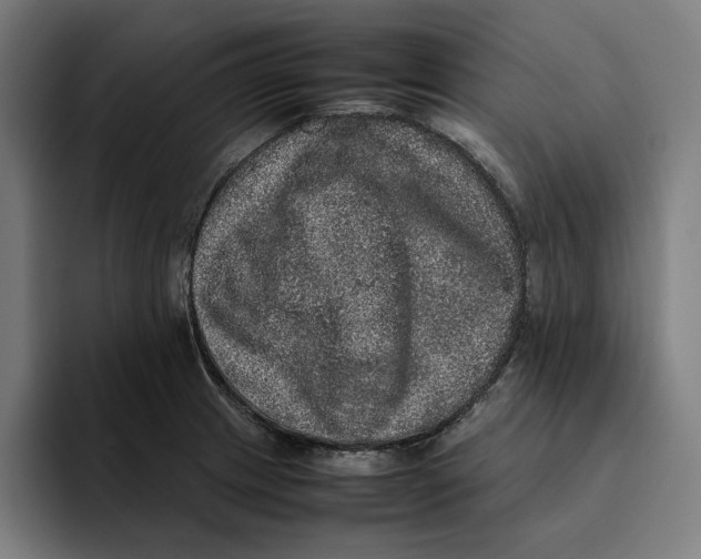 X0000094821233200712071239