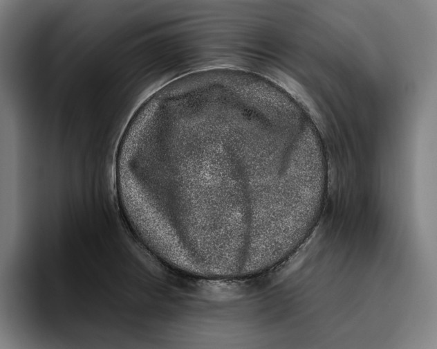 X0000094821234200712071239