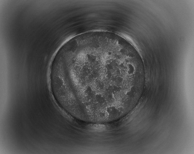 X0000094821235200712071239