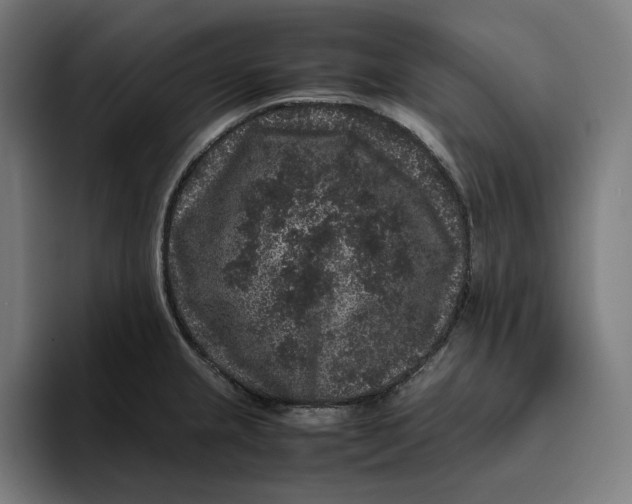 X0000094821237200712071239