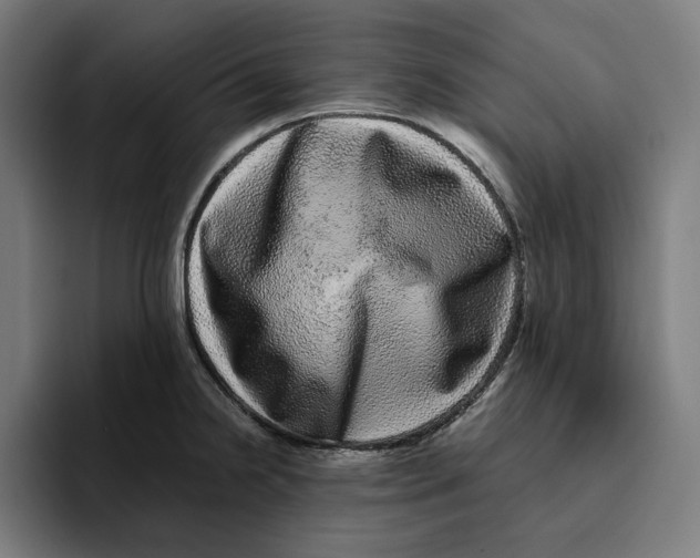 X0000094821238200712071239