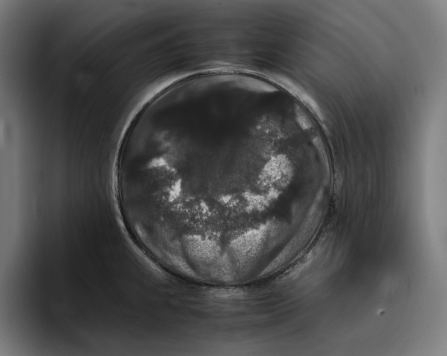 X0000094821239200712071239