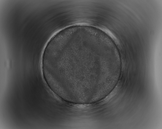 X0000094821240200712071239