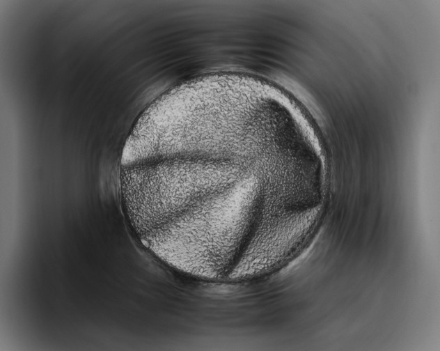 X0000094821241200712071239