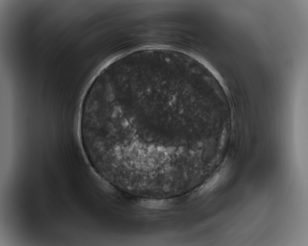 X0000094821245200712071239