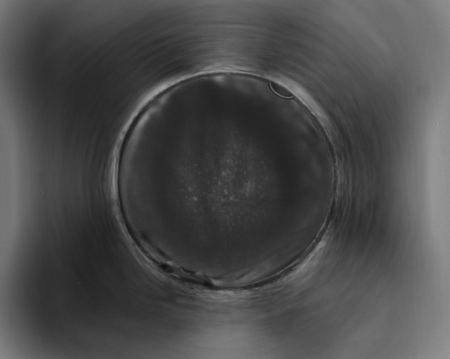 X0000094821246200712071239