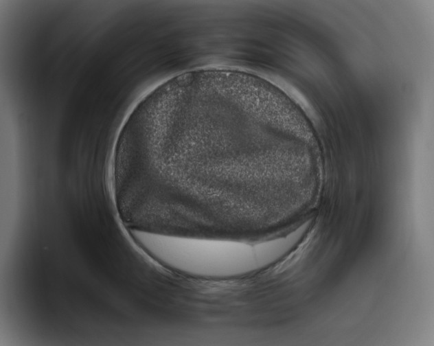 X0000094821247200712071239