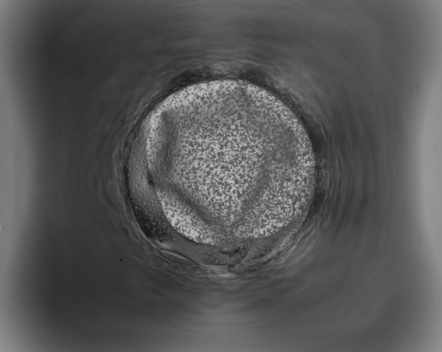 X0000094821249200712071239