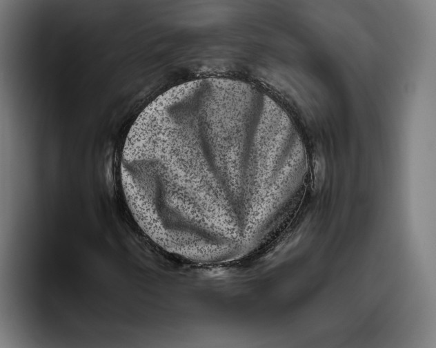 X0000094821250200712071239