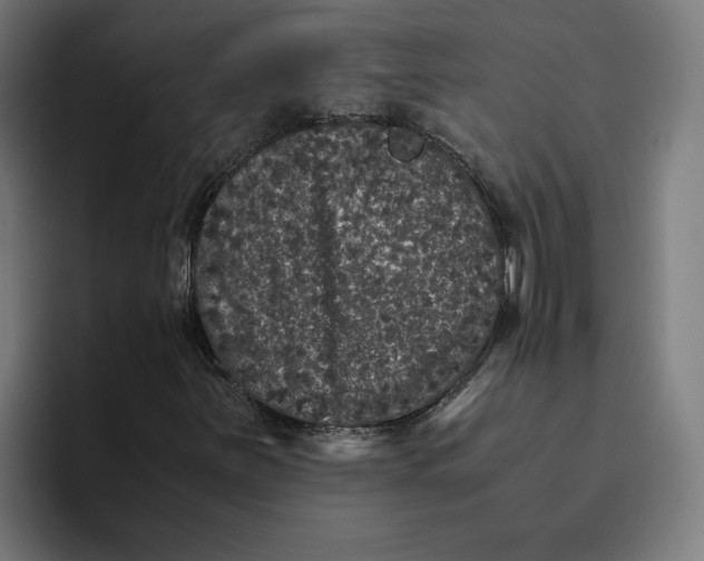 X0000094821251200712071239