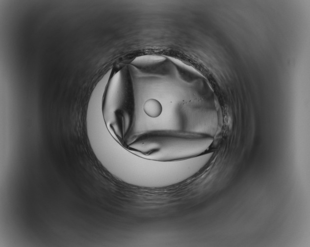 X0000094821252200712071239