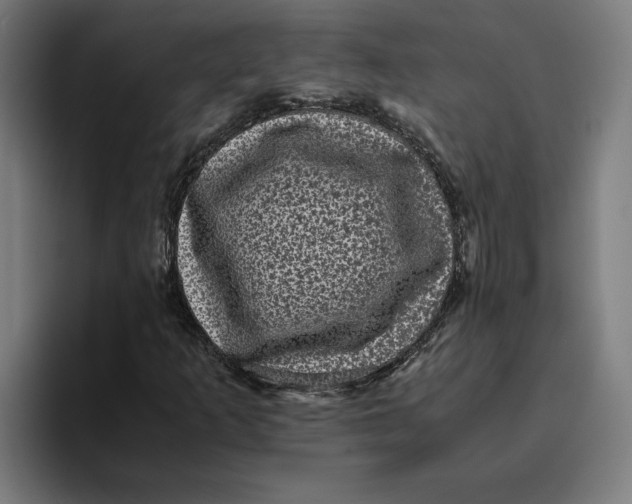 X0000094821253200712071239