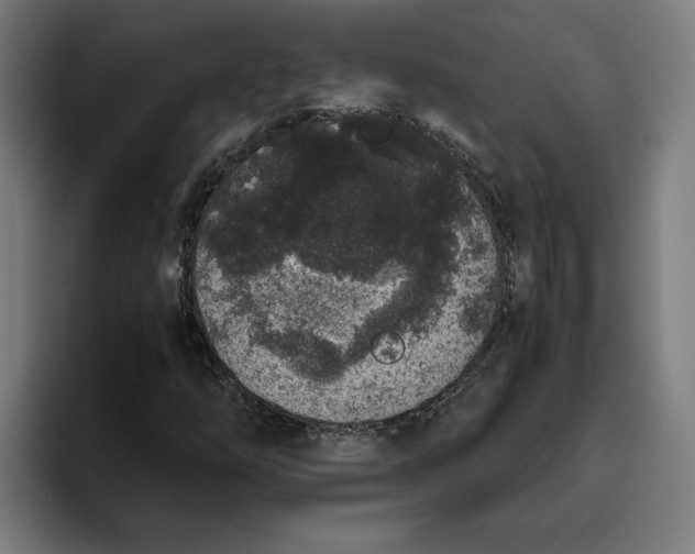 X0000094821254200712071239