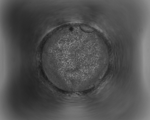 X0000094821255200712071239