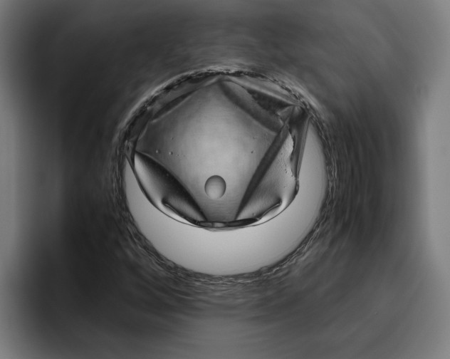 X0000094821256200712071239