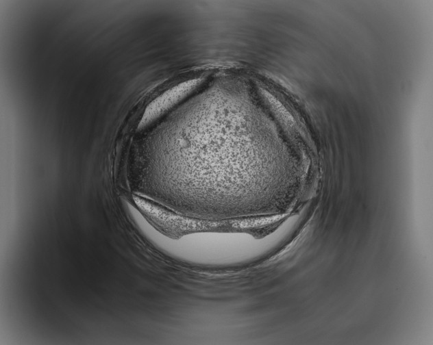 X0000094821257200712071239