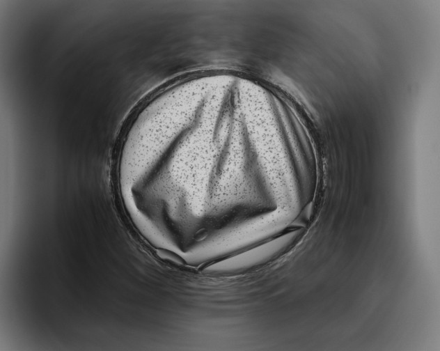 X0000094821260200712071239