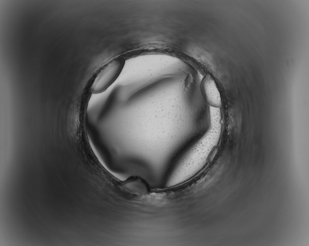 X0000094821261200712071239