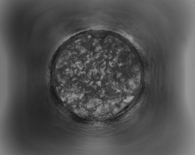 X0000094821263200712071238