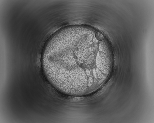 X0000094821265200712071238