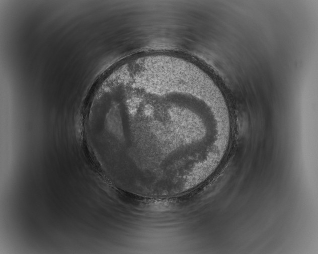 X0000094821266200712071238