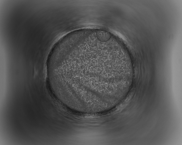 X0000094821267200712071238