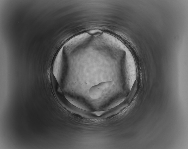 X0000094821273200712071238