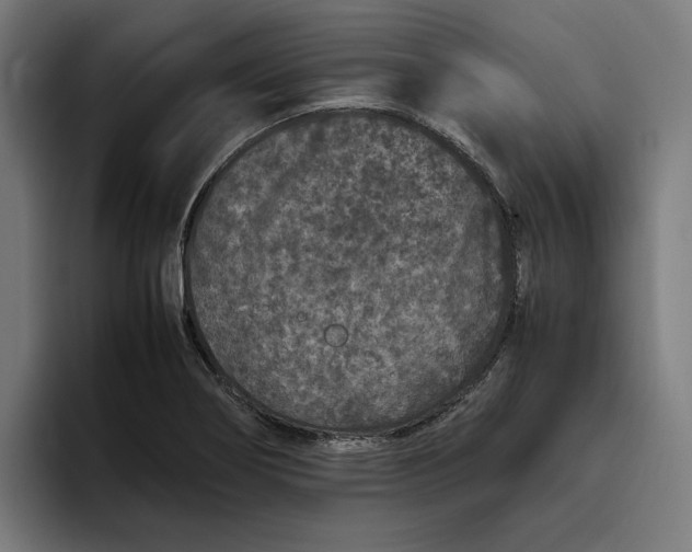 X0000094821274200712071238