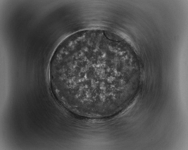 X0000094821275200712071238