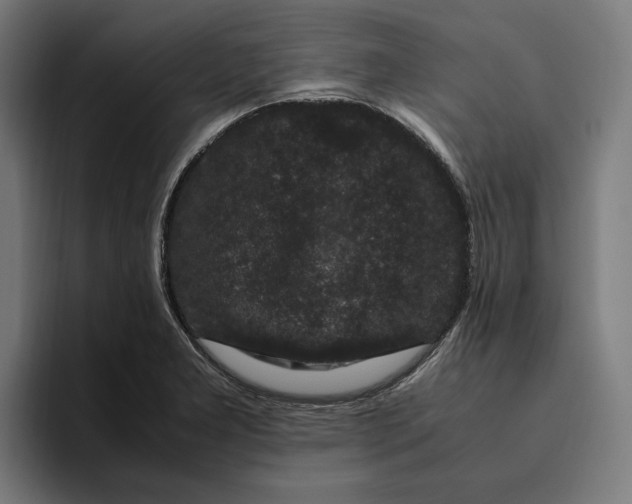 X0000094821277200712071238