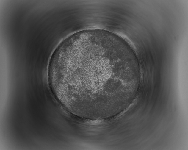 X0000094821278200712071238