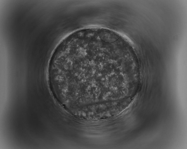 X0000094821279200712071238