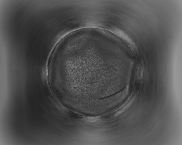 X0000094821280200712071238