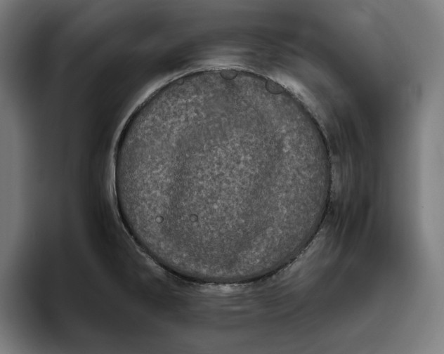 X0000094821286200712071238